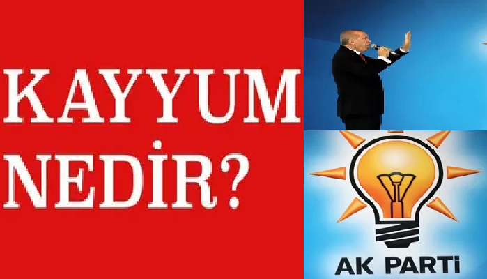 AKP Bir Yılda 13 Belediyeye Kayyum Atadı.