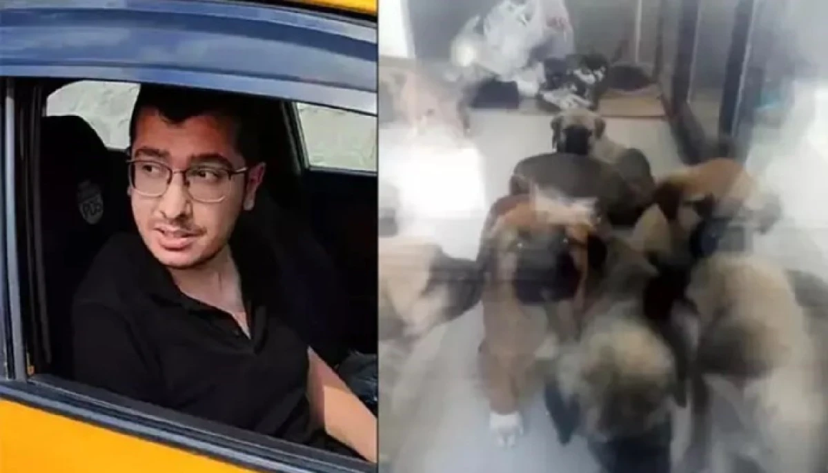 Ankara'da Doktorun Öldürdüğü Köpek Sayısı 26'ya Ulaştı!