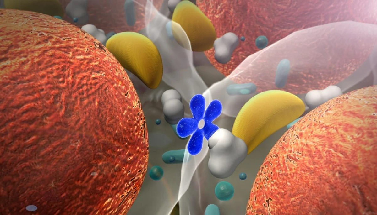 Araştırma: Kimyasallar Çocukların Hormonlarını Bozuyor!