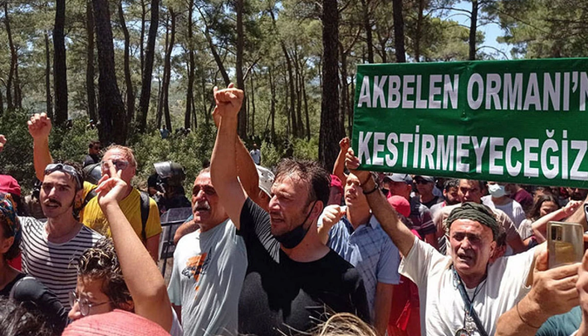 Danıştay: Akbelen'de ÇED Muafiyetine Bilirkişi İstedi.