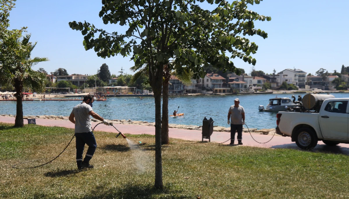 Darıca’da Yeşil Alanlar Artık Daha Güvenli.