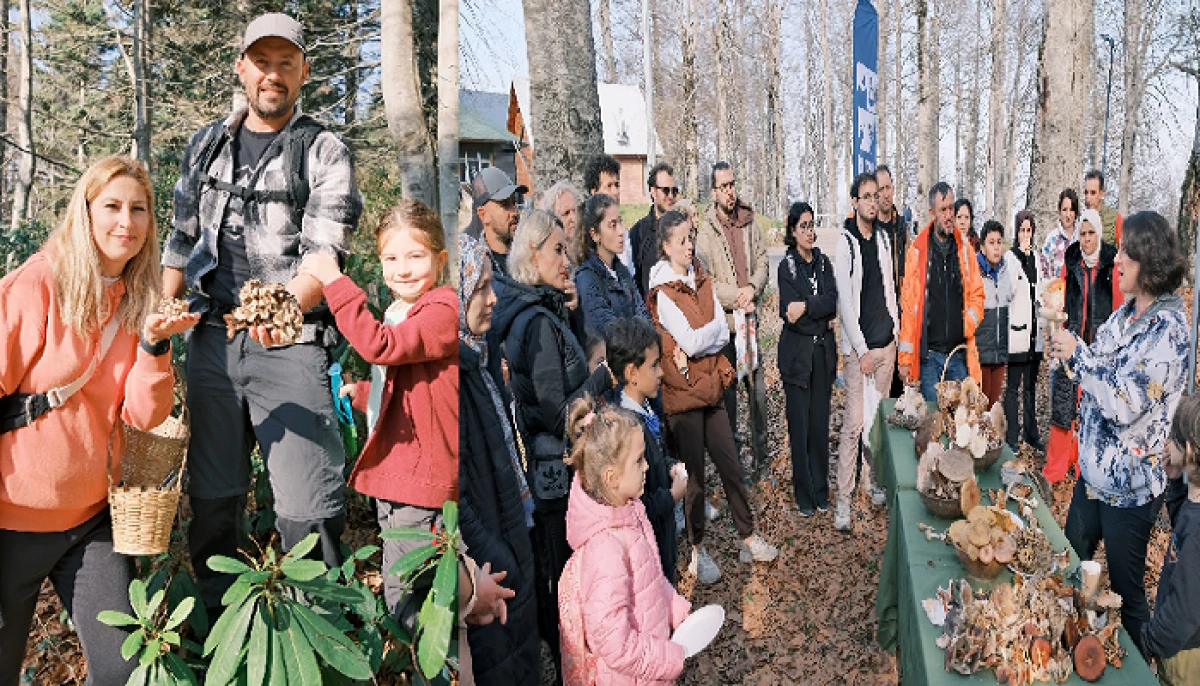 Kuzuyayla’da Mantarların Gizemli Dünyası Keşfedildi.