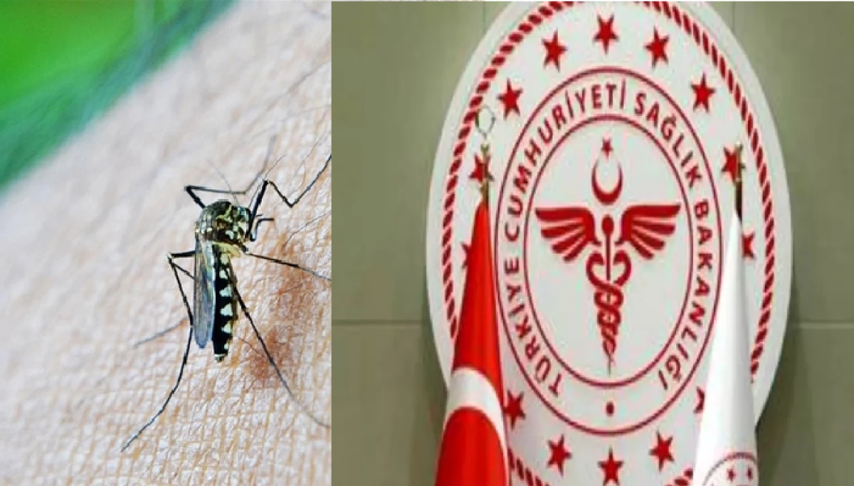 Sağlık Bakanlığı'ndan 'Yerli Sıtma' Açıklaması!