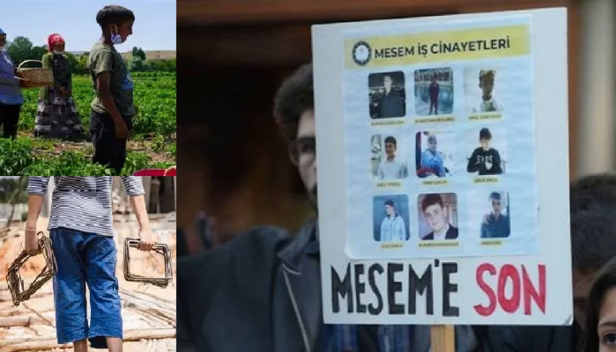 TTB: Çocuklarda Eşitsizliğe Yol Açan MESEM'ler Derhal Kapatılmalıé