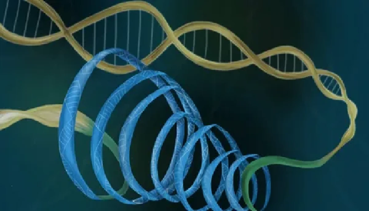 Yapay İnsan DNA'sına Yönelik Tartışmalı Proje  Tekrar Gündemde!